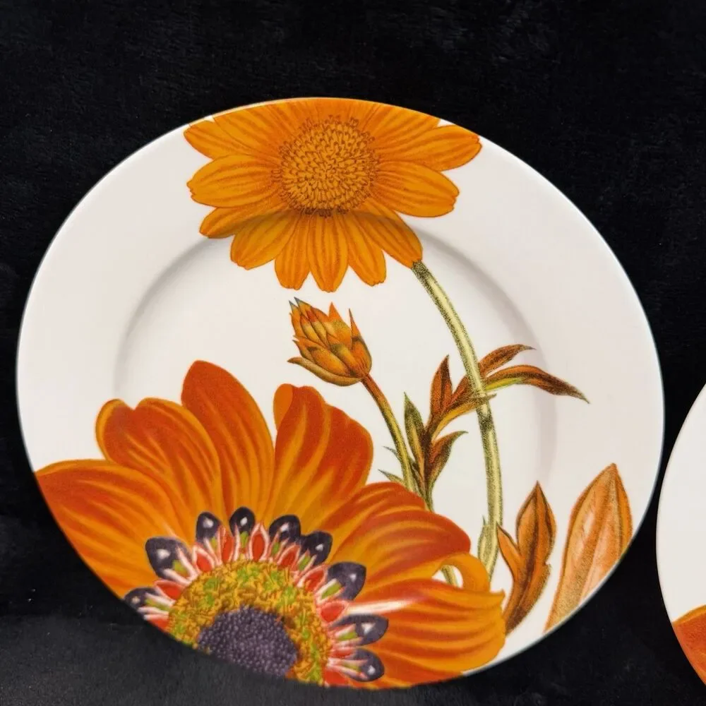 Crate & Barrel Passion Flower Plates Set of 3 Orange Floral 8” Salad Dessert
